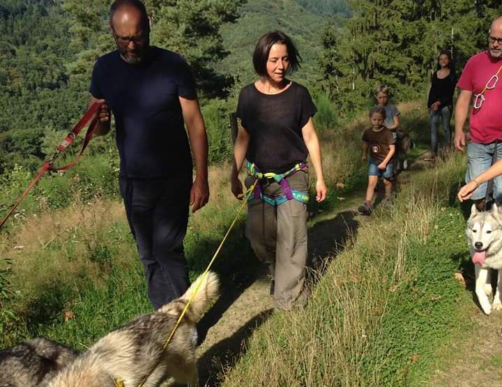 Cani-Marche avec nos chiens de traîneau dans les Vosges dans le Vallée de Villé